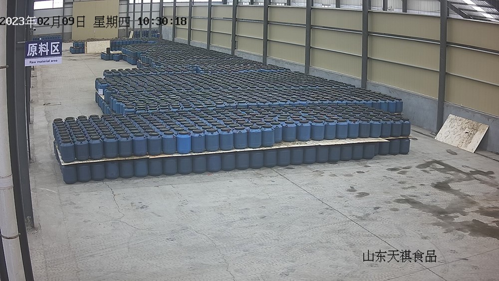 Drum packing white mushroom in brine Drum packing white mushroom in brine