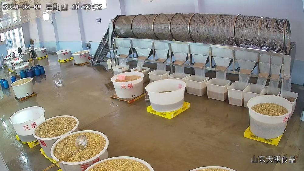 202302091112156 202302091112156