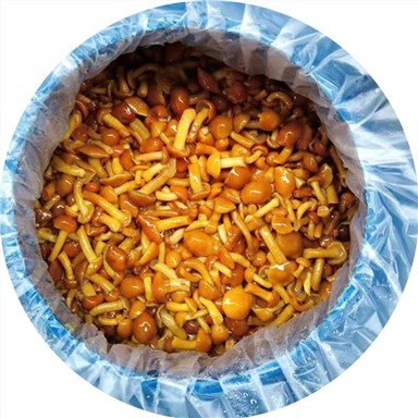 Nameko sēne bungās