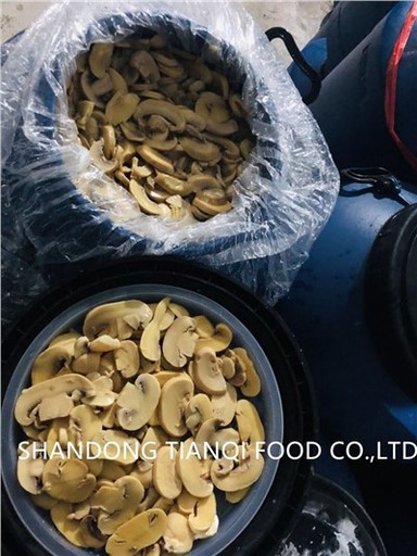 Bioloģiskā šampinjonu sēne sālījumā, sēņu šķēle