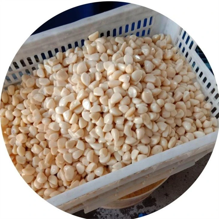 Peeled garlic cloves in brine in drums factory