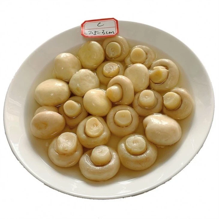 Best whole white mushroom in salted water in drums