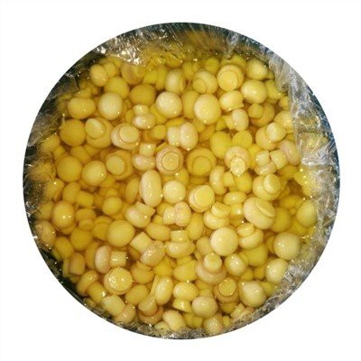 Sautēta karaļa austeru sēne bungā