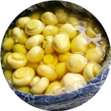 Šampinjonu sēne bungās