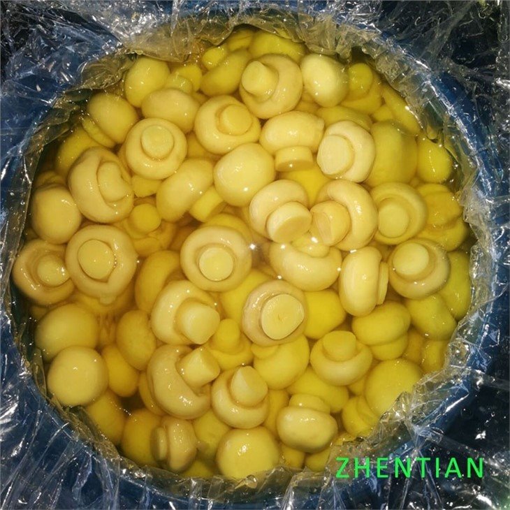 4-6cm whole white mushroom in SO2 in plastic drums