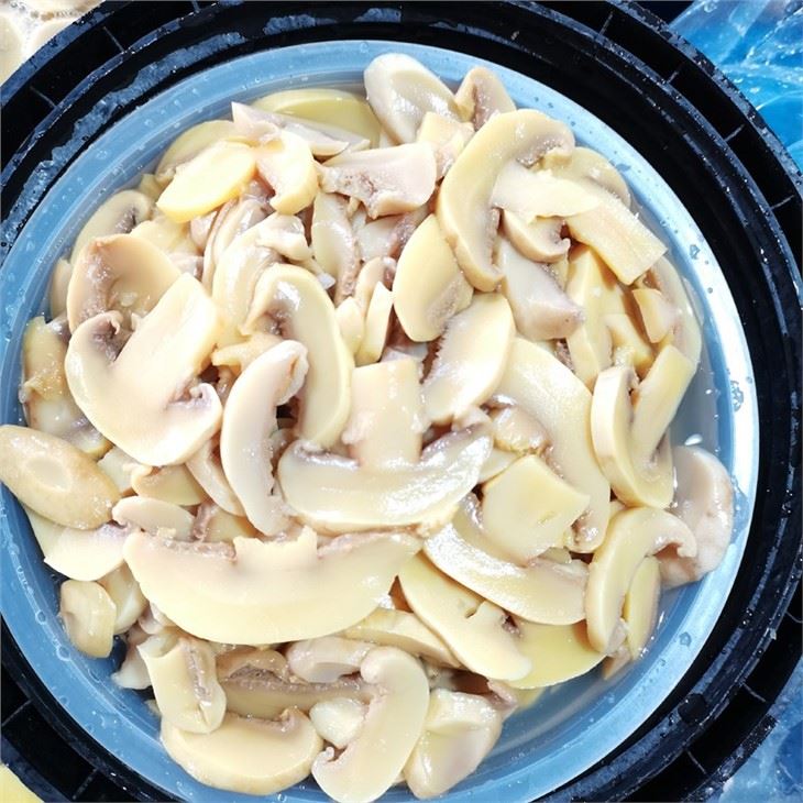 Best Quality Sliced white mushroom in brine in drums
