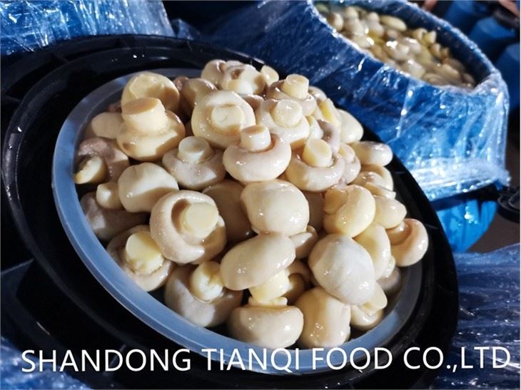 Seasoning white mushroom in salty water in drums