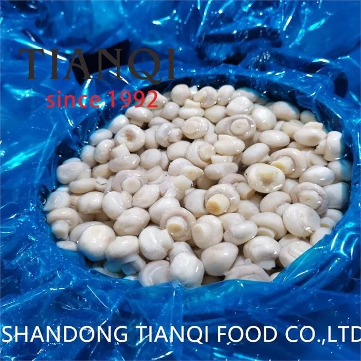 Cultivated White Mushroom in Brine in Plastic Drums