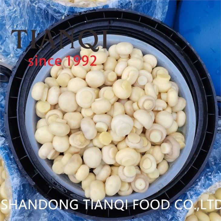 Whole white mushroom in salty water in drums