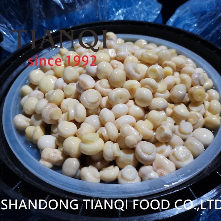 Salted White Mushrooms in Plastic Drums