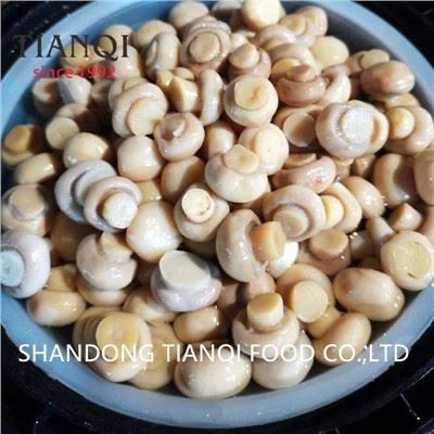 Vesela baltā šampinjonu sēne sālījumā mucās