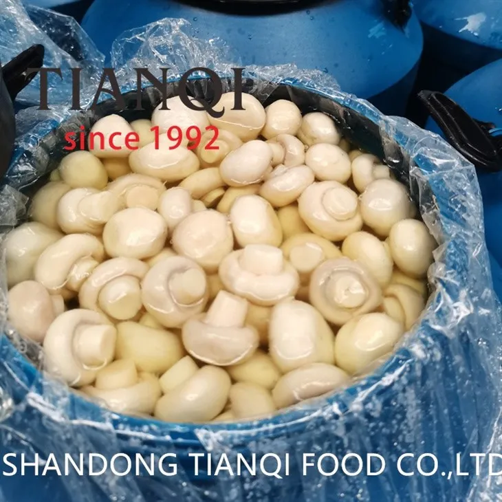 Brined White Champignon in Plastic Drums